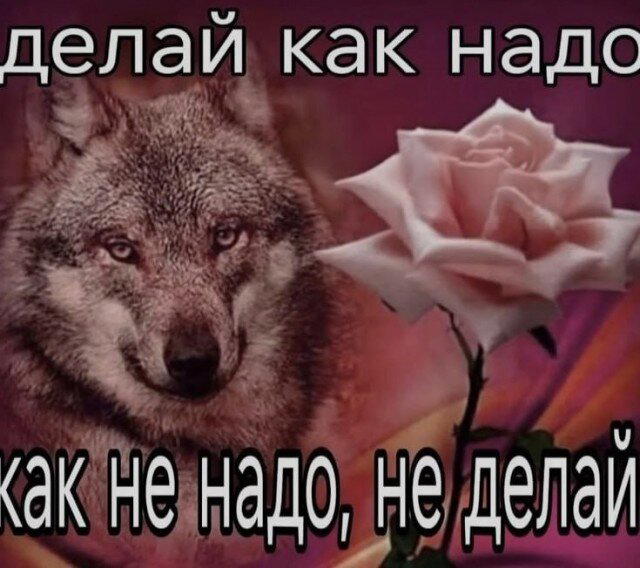 С утра и дичка слаще. Дички на утро