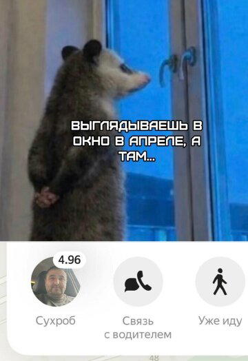 Без дички не растут синички