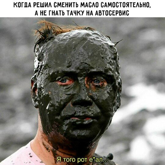 Без дички не растут синички