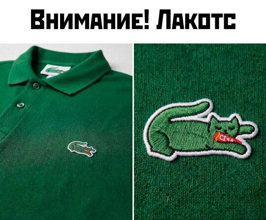 Без дички не растут синички