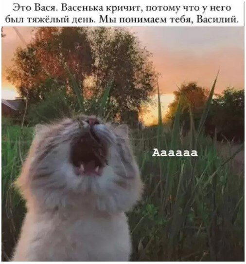 Без дички не растут синички