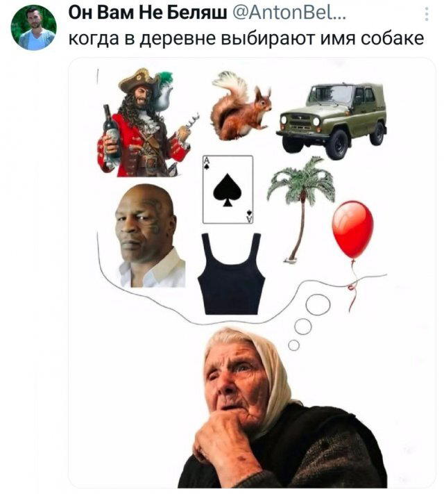 Без дички не растут синички