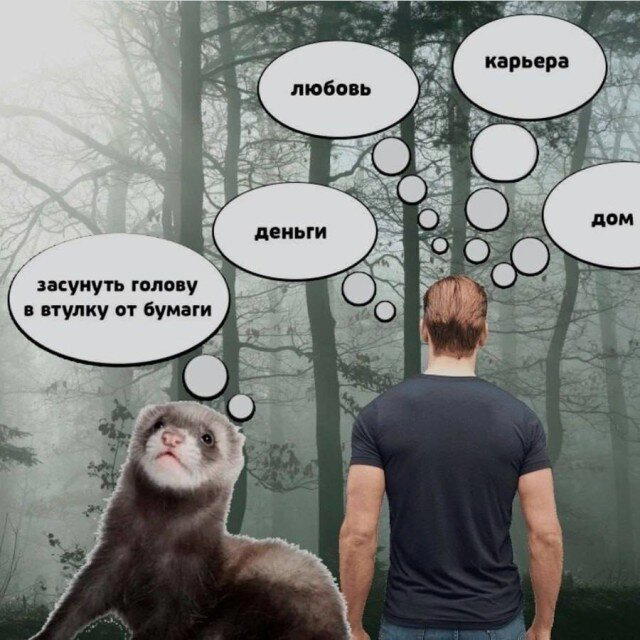 Без дички не растут синички