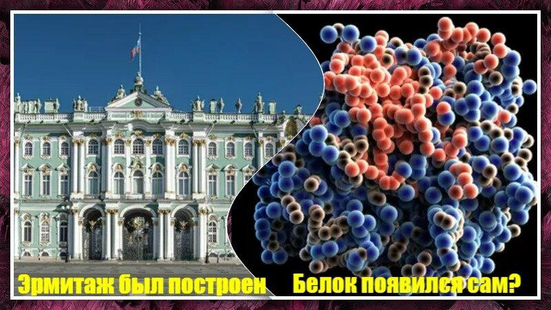 Слева - Эрмитаж. Справа - модель белка, состоящего из аминокислот, соединённых между собой в строгой последовательности и свёрнутых в трёхмерную структуру.