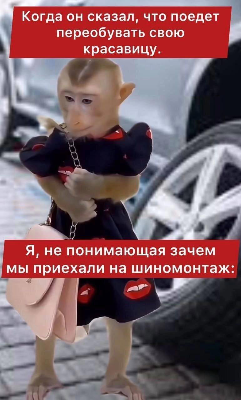 Дички как радости с кислым вкусом