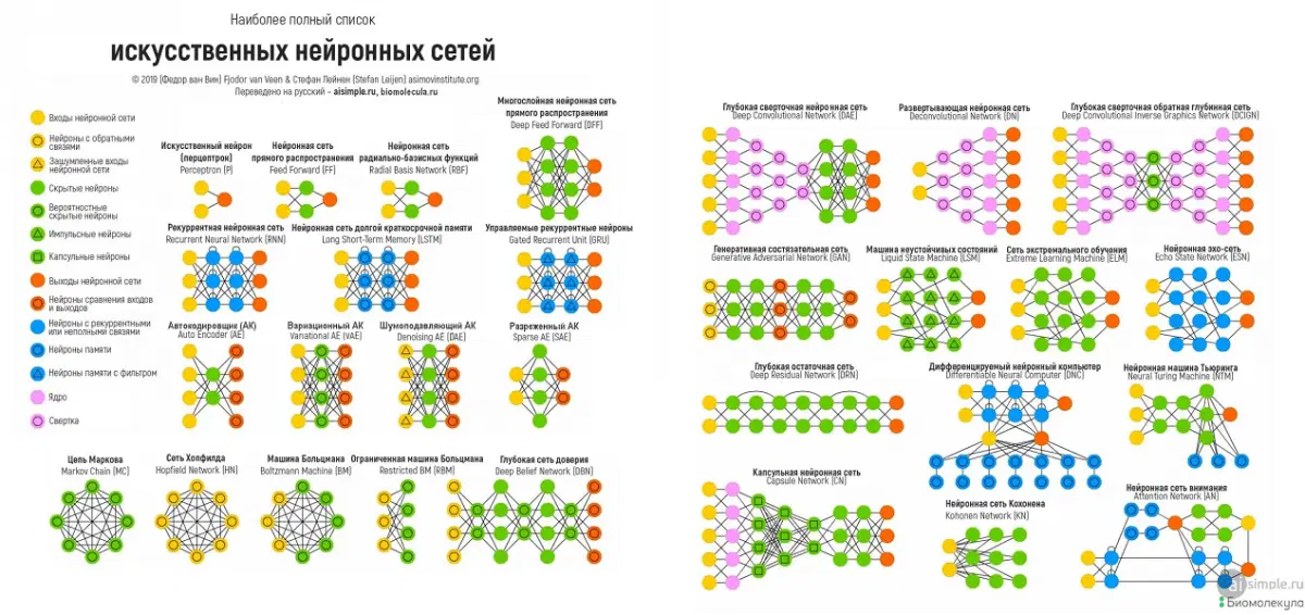 ... наглядности северного пушного зверька. Актуально на сентябрь 2025г.