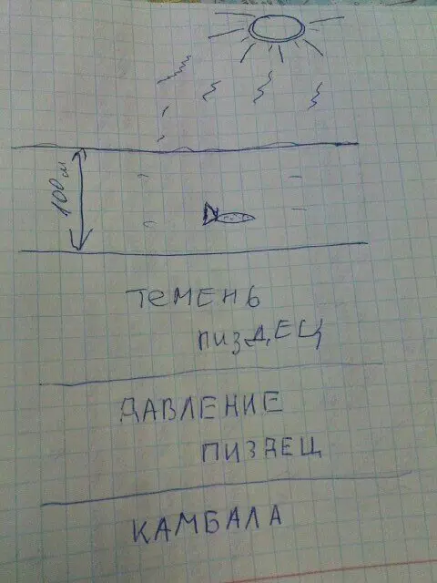 Коротко о строении морей-океанов