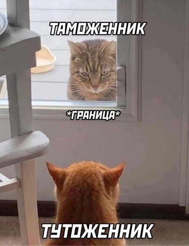 Дичкина дичка