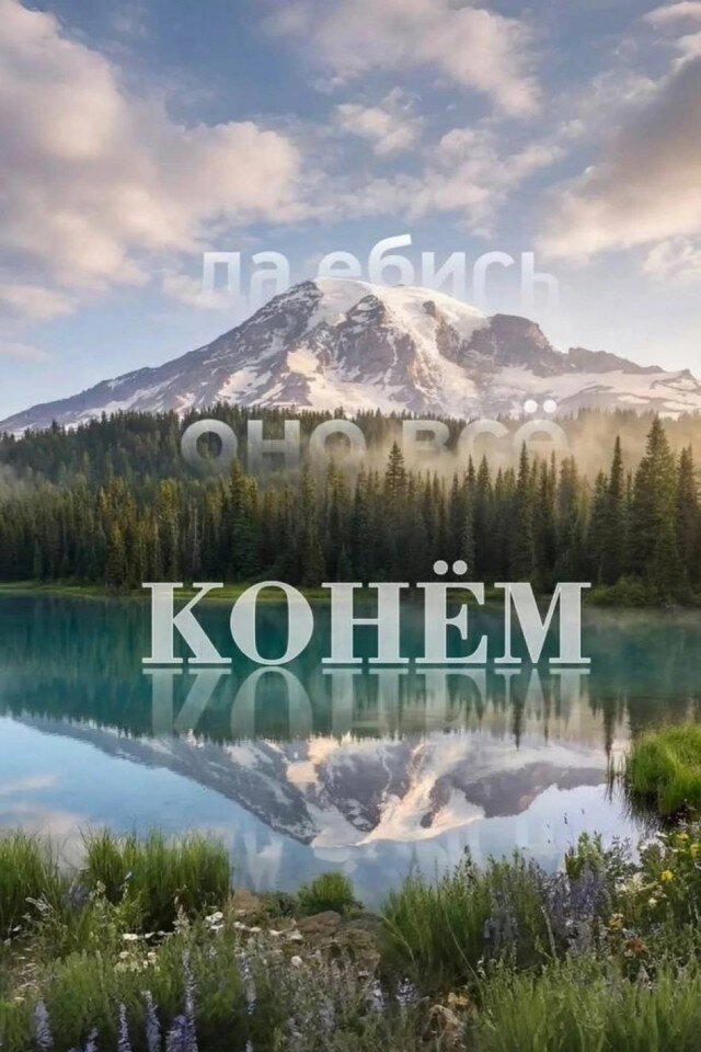 Дичкина дичка