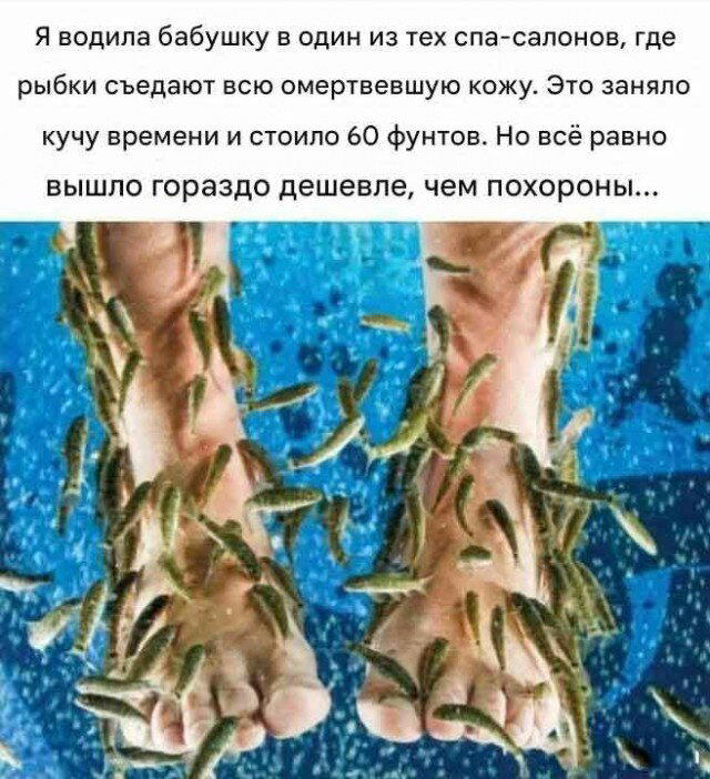 Дичкина дичка