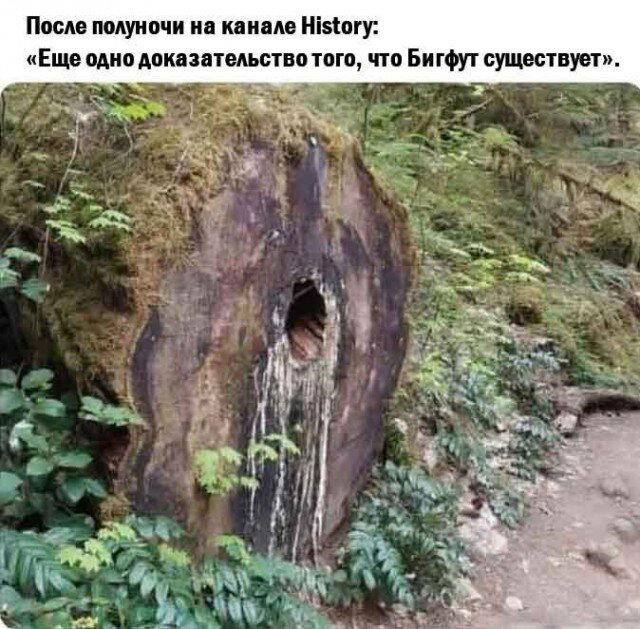 Дичкина дичка