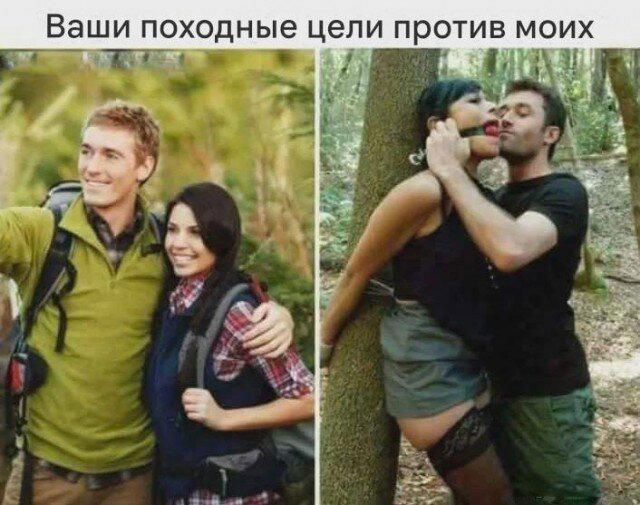 Дичкина дичка