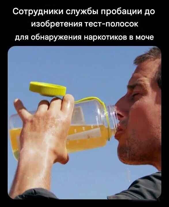 Дичкина дичка