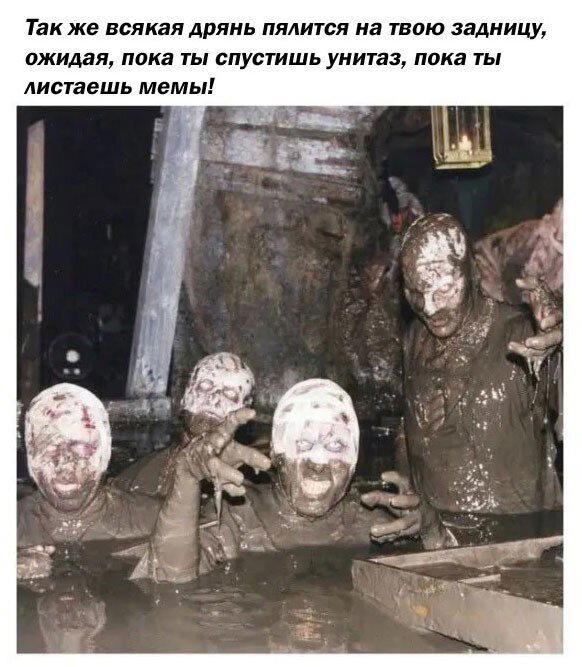 Дичкина дичка