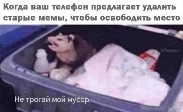 Дичкина дичка