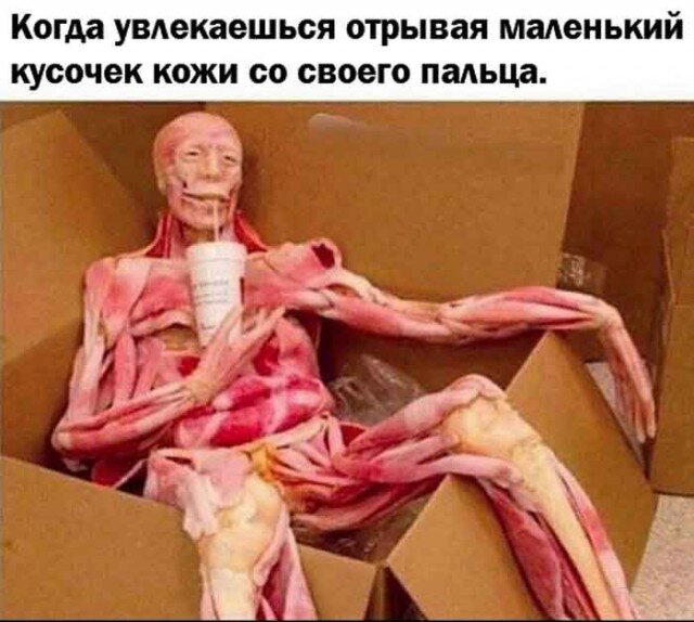 Дичкина дичка