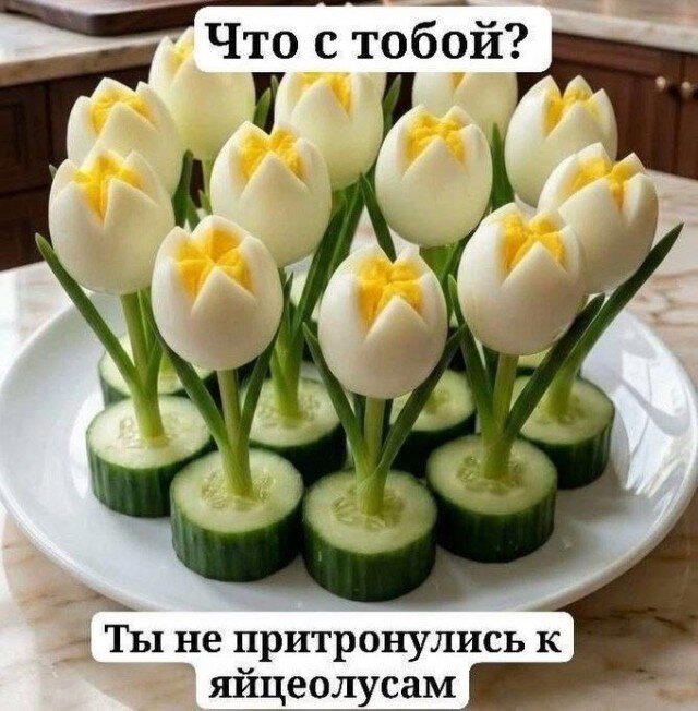 Дичкина дичка