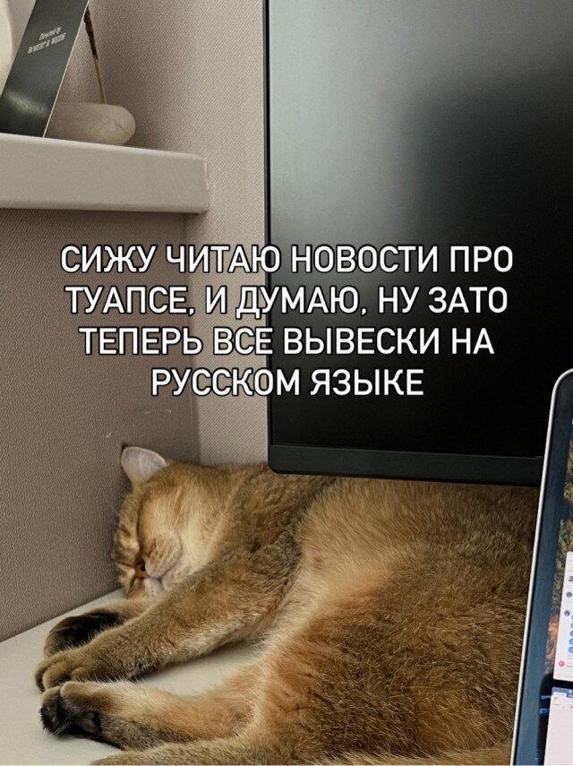 Дичкина дичка
