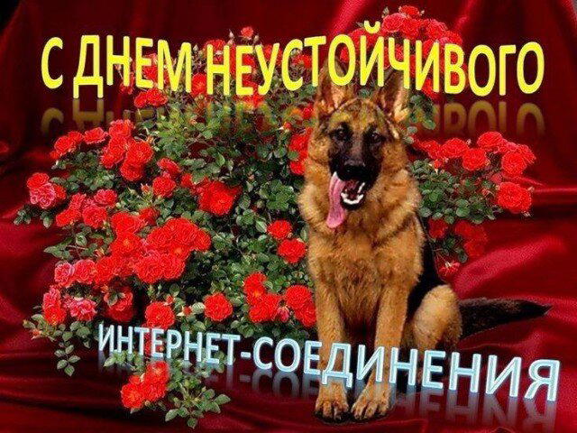 Дичкина дичка