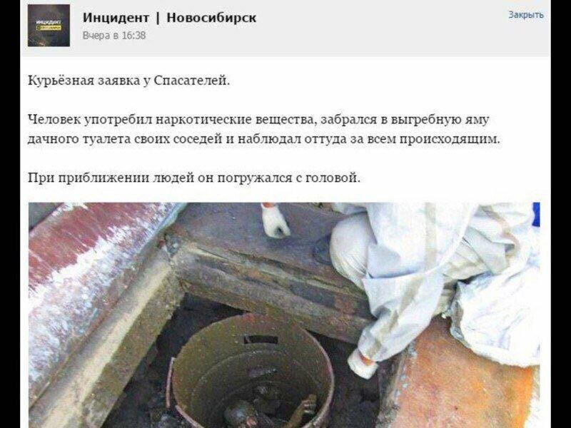 Дичи в светлое утро хоть и на ночь