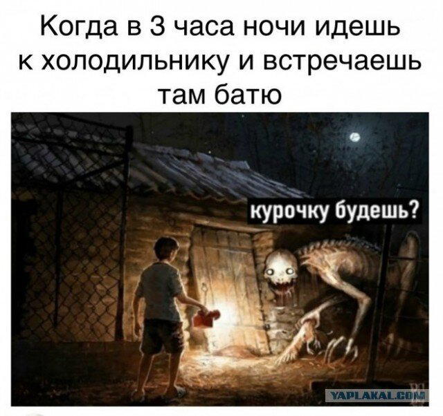 Дичи в светлое утро хоть и на ночь