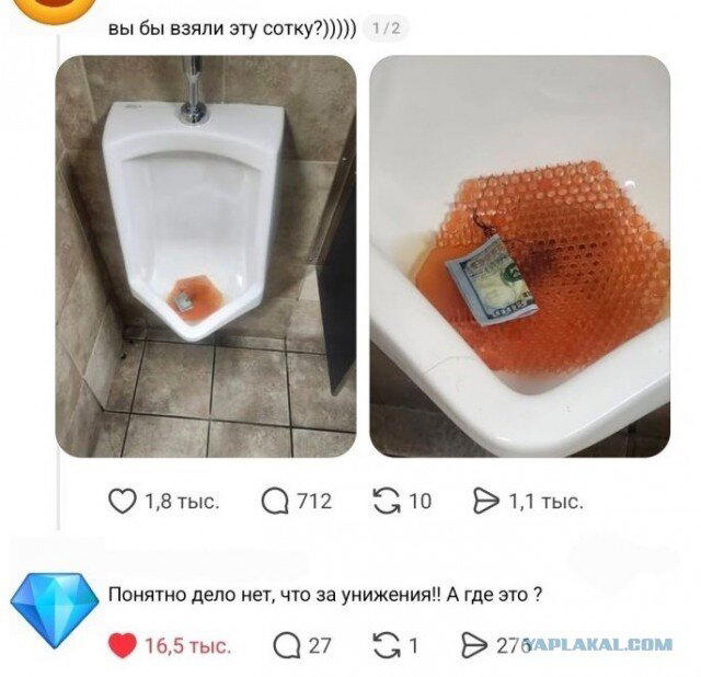 Дичи в светлое утро хоть и на ночь