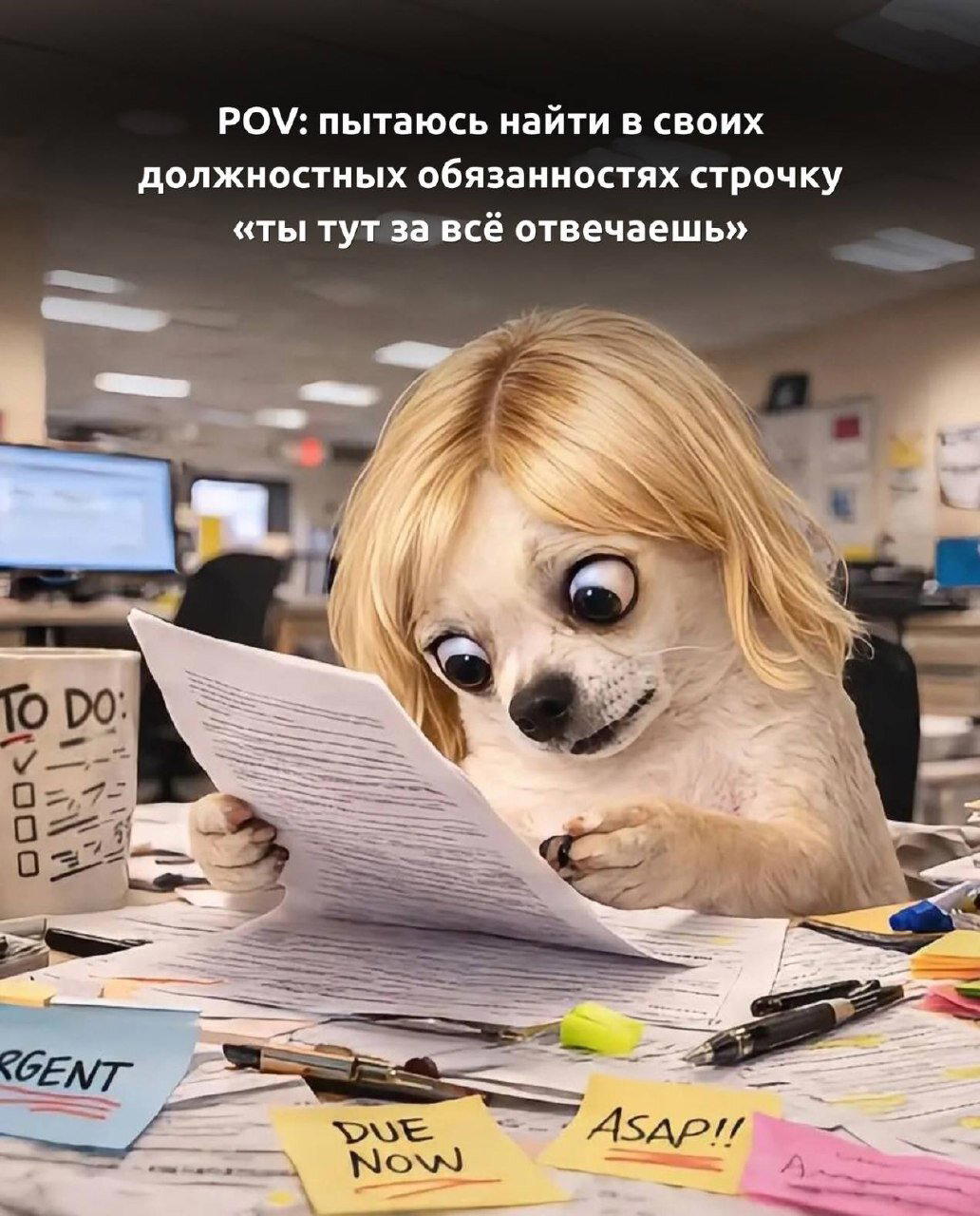 Дичи в светлое утро хоть и на ночь