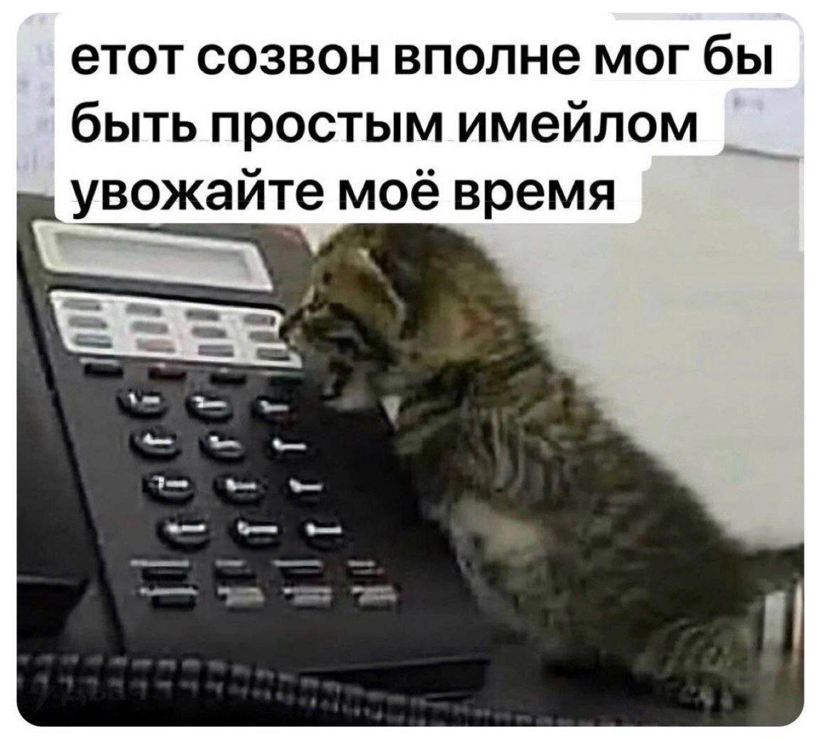Дичи в светлое утро хоть и на ночь