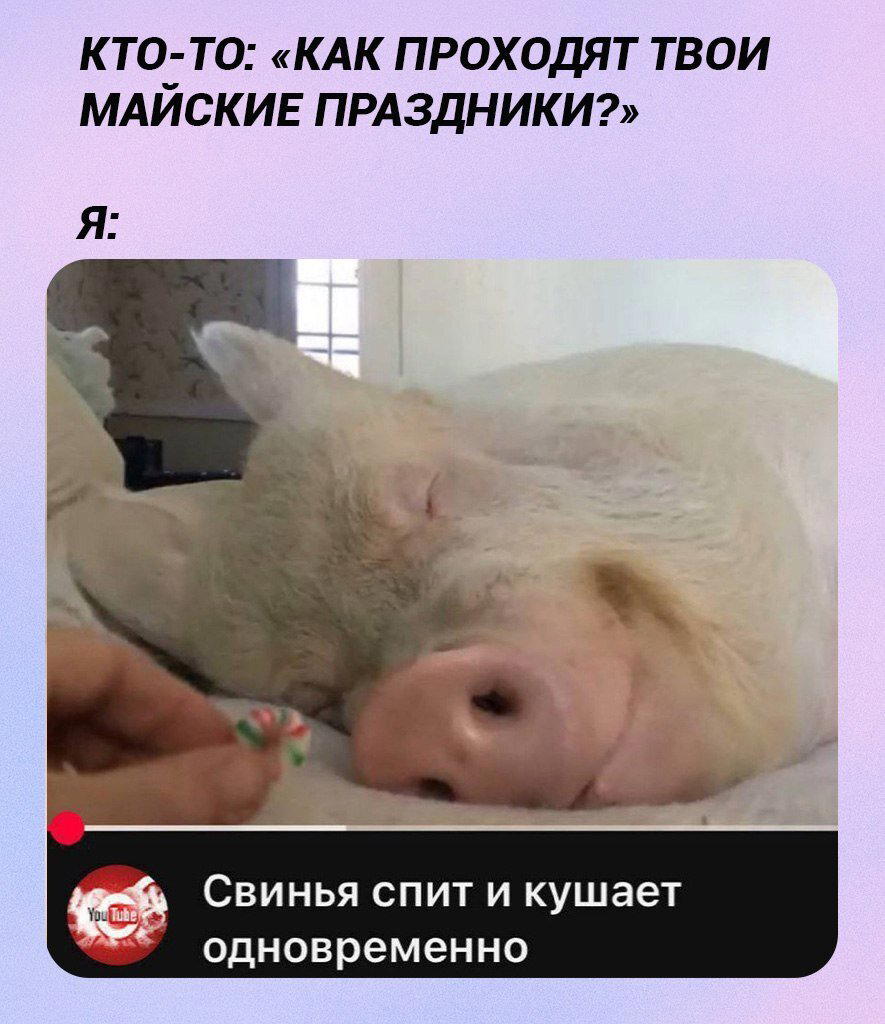 Дичи в светлое утро хоть и на ночь