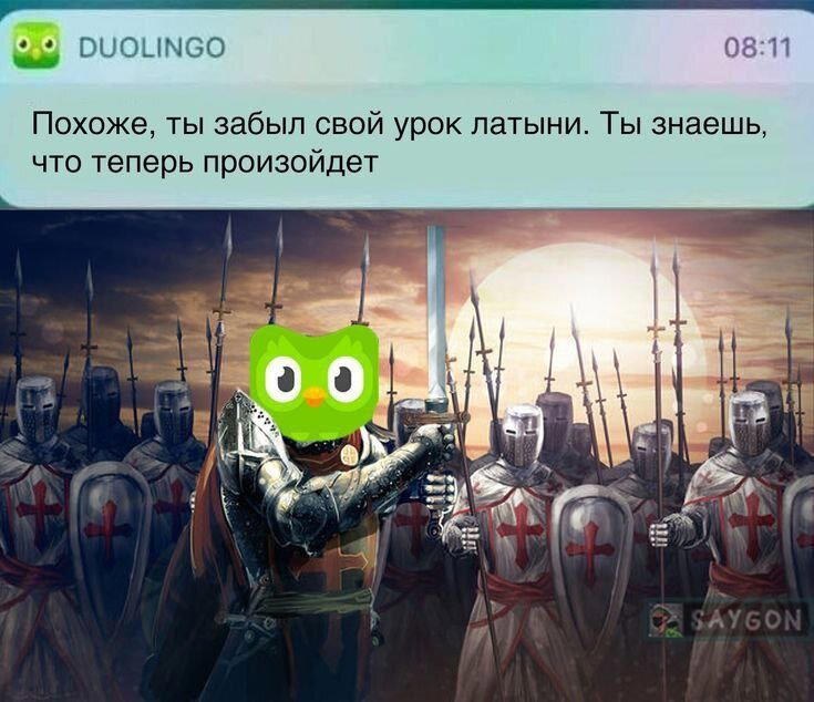 Дичи в светлое утро хоть и на ночь