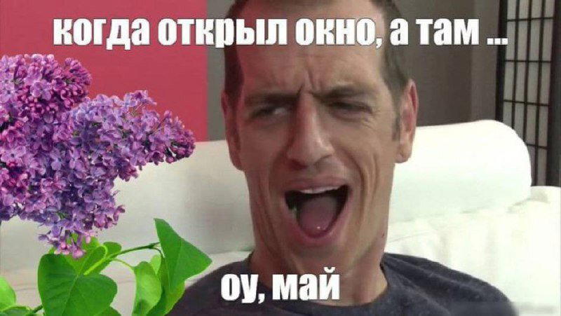 Дичи в светлое утро хоть и на ночь