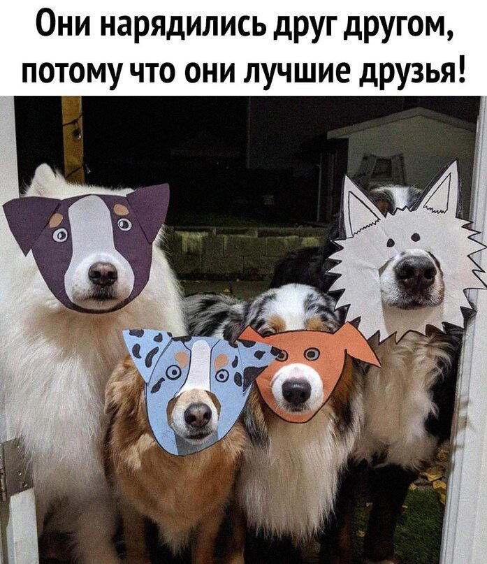 Дичи в светлое утро хоть и на ночь