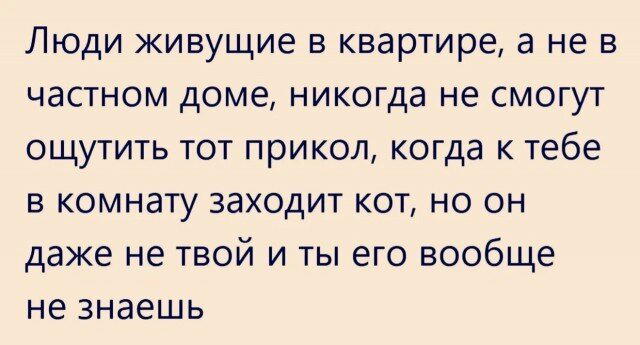 Дичи в светлое утро хоть и на ночь