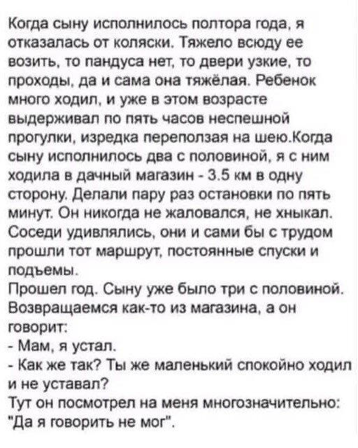 Дичи в светлое утро хоть и на ночь