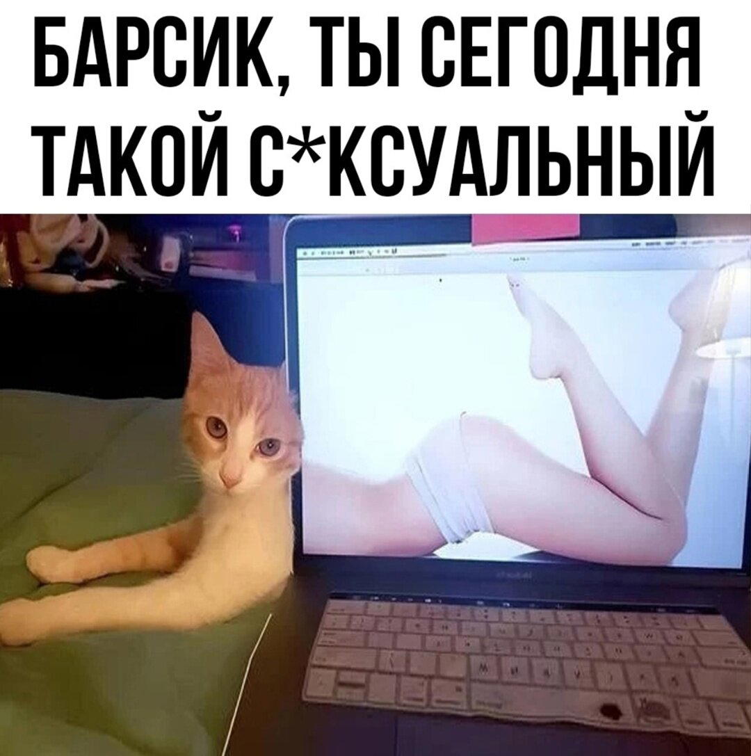 Дичи в светлое утро хоть и на ночь
