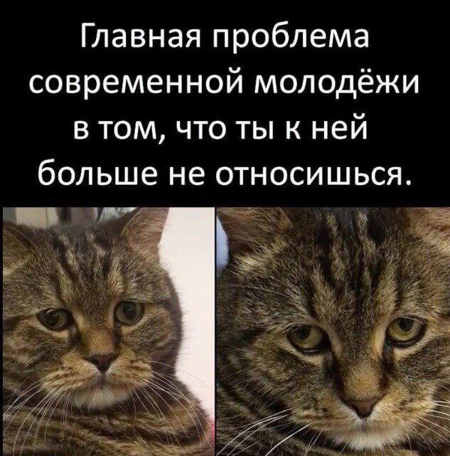 Дичи в светлое утро хоть и на ночь
