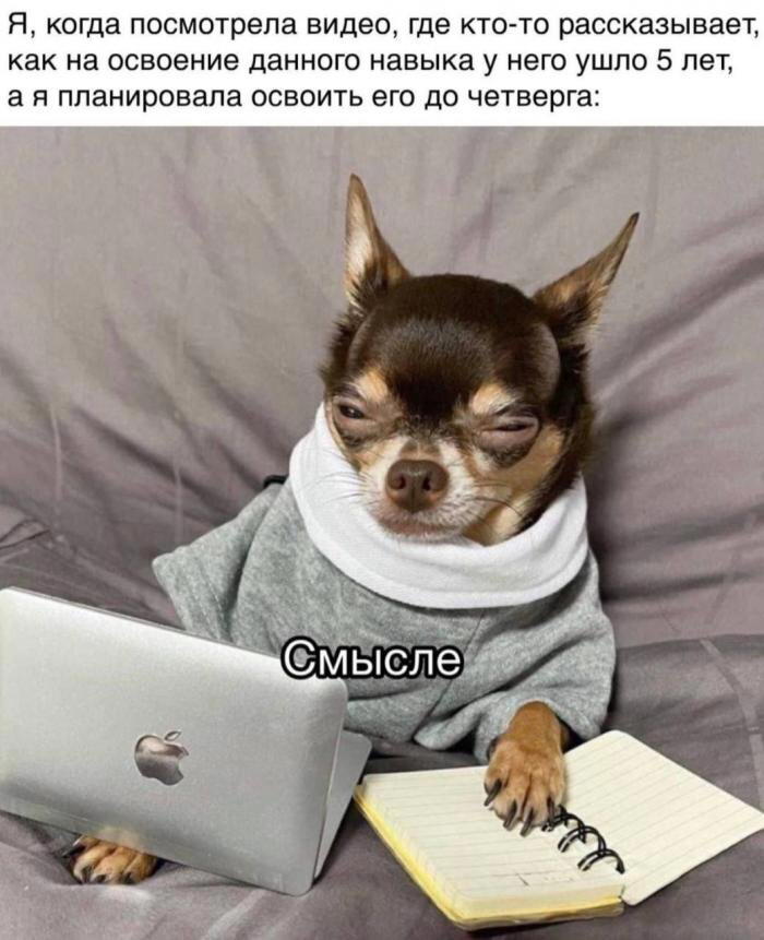 Дички в май принимай