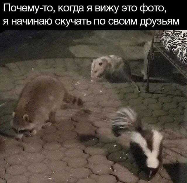 Дички в май принимай