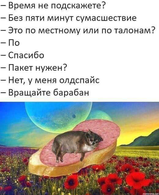 Дички в май принимай