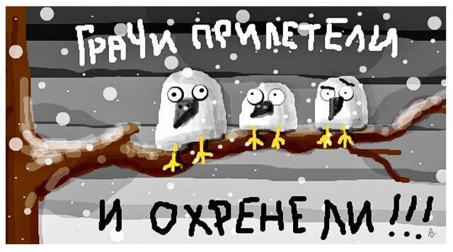 Дички в май принимай