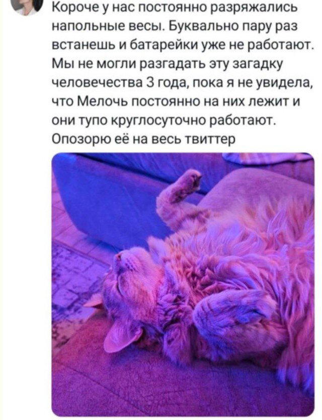 Дички в май принимай