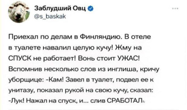 Любимая история 