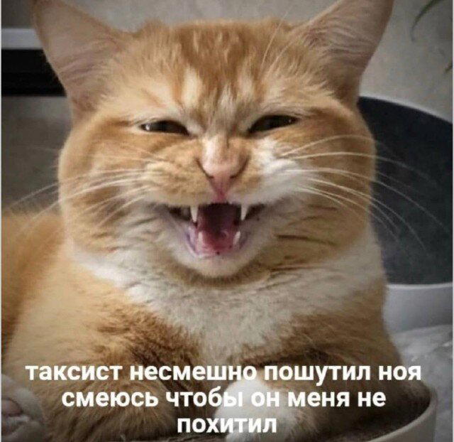 Дички в май принимай