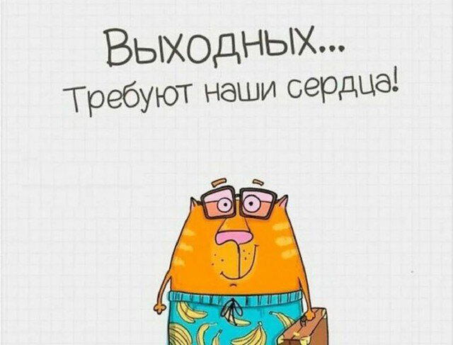 Дички в ночь завтра же командировка