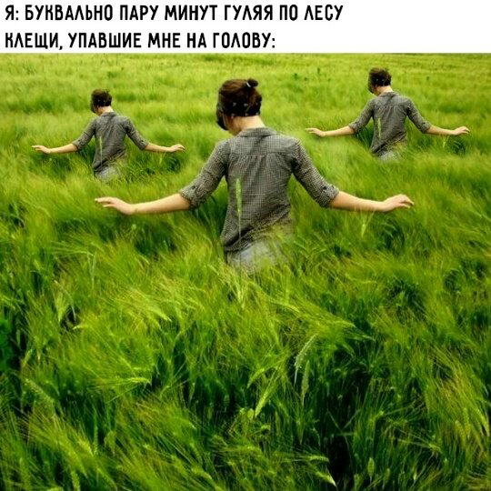 Дички в ночь завтра же командировка