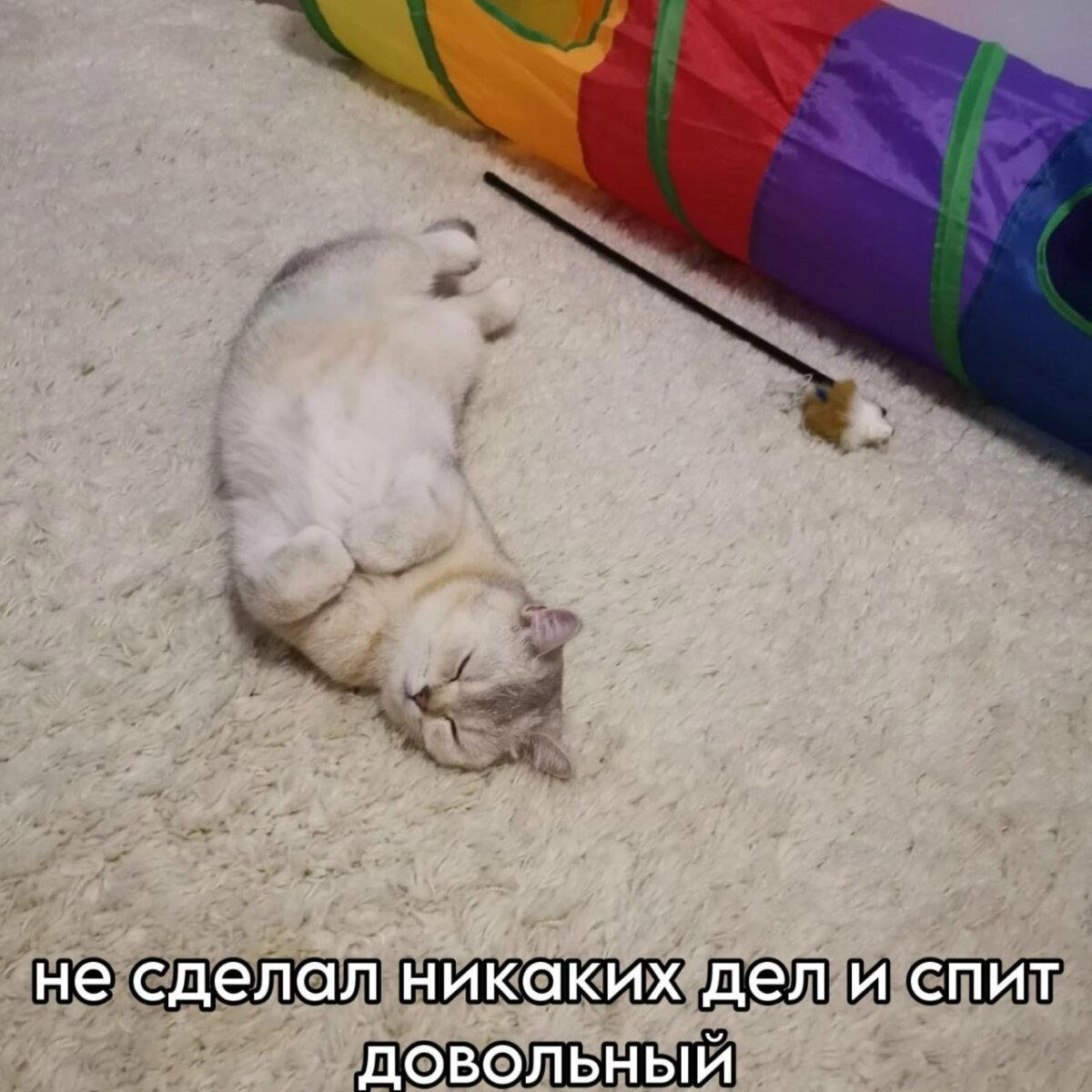 Дички в ночь завтра же командировка