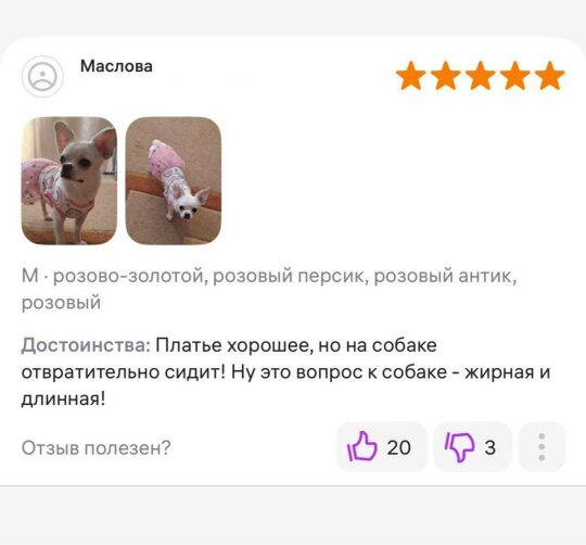 Дички в ночь завтра же командировка