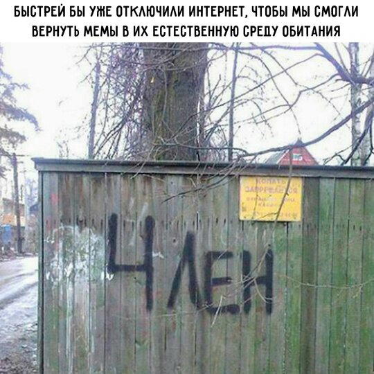 Дички в ночь завтра же командировка