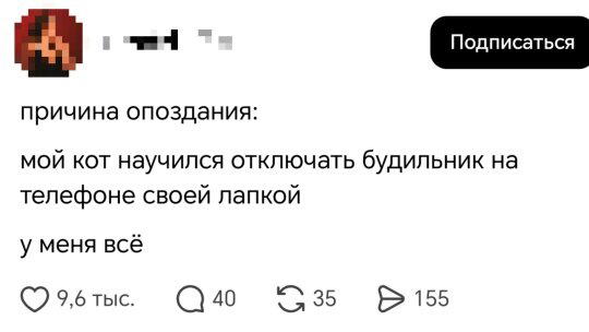 Дички в ночь завтра же командировка