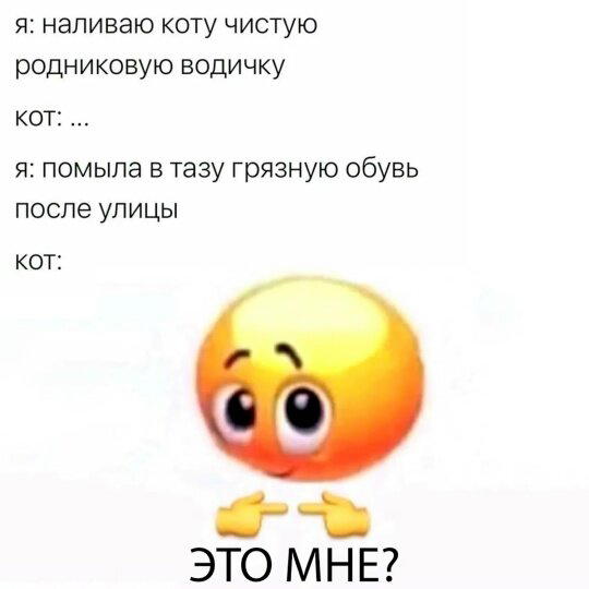 Дички в ночь.